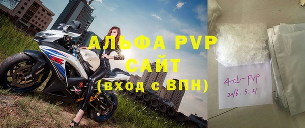 хмурый Белокуриха